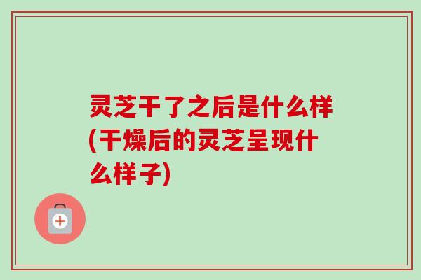灵芝干了之后是什么样(干燥后的灵芝呈现什么样子) 灵芝干了之后是什么样(干燥后的灵芝呈现什么样子)