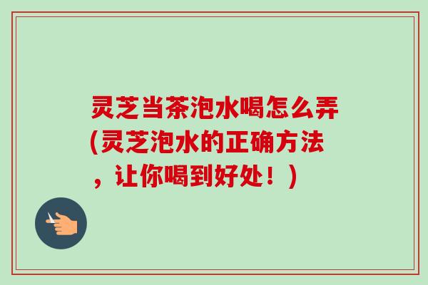 灵芝当茶泡水喝怎么弄(灵芝泡水的正确方法，让你喝到好处！)