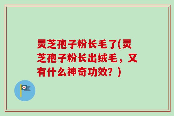 灵芝孢子粉长毛了(灵芝孢子粉长出绒毛,又有什么神奇功效?) 灵芝孢子粉长毛了(灵芝孢子粉长出绒毛,又有什么神奇功效?)