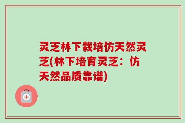 灵芝林下栽培仿天然灵芝(林下培育灵芝:仿天然品质靠谱) 灵芝林下栽培仿天然灵芝(林下培育灵芝:仿天然品质靠谱)