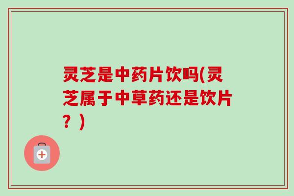 灵芝是片饮吗(灵芝属于中草药还是饮片?) 灵芝是片饮吗(灵芝属于中草药还是饮片?)