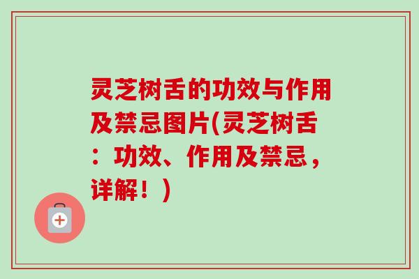 灵芝树舌的功效与作用及禁忌图片(灵芝树舌:功效、作用及禁忌,详解!) 灵芝树舌的功效与作用及禁忌图片(灵芝树舌:功效、作用及禁忌,详解!)