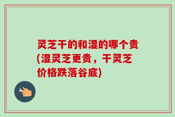 灵芝干的和湿的哪个贵(湿灵芝更贵,干灵芝价格跌落谷底) 灵芝干的和湿的哪个贵(湿灵芝更贵,干灵芝价格跌落谷底)