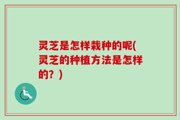灵芝是怎样栽种的呢(灵芝的种植方法是怎样的？)