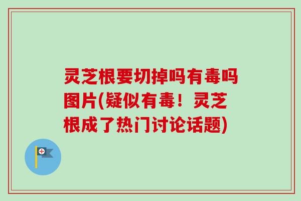 灵芝根要切掉吗有毒吗图片(疑似有毒!灵芝根成了热门讨论话题) 灵芝根要切掉吗有毒吗图片(疑似有毒!灵芝根成了热门讨论话题)