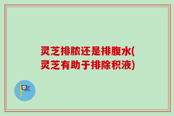 灵芝排脓还是排腹水(灵芝有助于排除积液) 灵芝排脓还是排腹水(灵芝有助于排除积液)