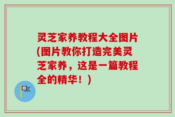 灵芝家养教程大全图片(图片教你打造完美灵芝家养,这是一篇教程全的精华!) 灵芝家养教程大全图片(图片教你打造完美灵芝家养,这是一篇教程全的精华!)