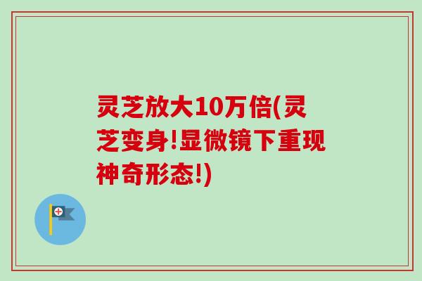灵芝放大10万倍(灵芝变身!显微镜下重现神奇形态!) 灵芝放大10万倍(灵芝变身!显微镜下重现神奇形态!)