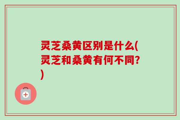 灵芝桑黄区别是什么(灵芝和桑黄有何不同?) 灵芝桑黄区别是什么(灵芝和桑黄有何不同?)