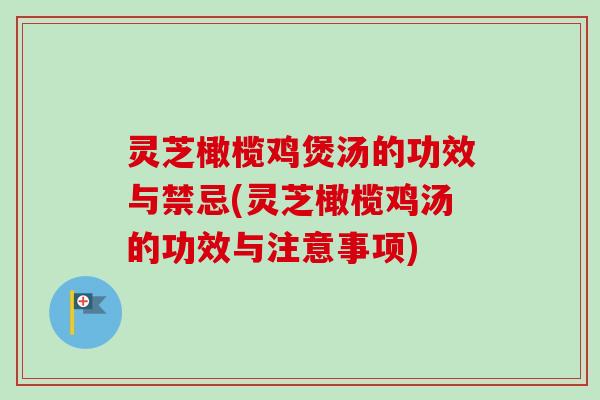 灵芝橄榄鸡煲汤的功效与禁忌(灵芝橄榄鸡汤的功效与注意事项)