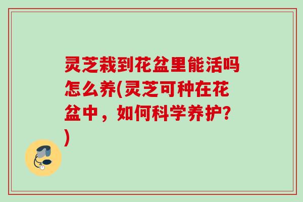 灵芝栽到花盆里能活吗怎么养(灵芝可种在花盆中,如何科学养护?) 灵芝栽到花盆里能活吗怎么养(灵芝可种在花盆中,如何科学养护?)