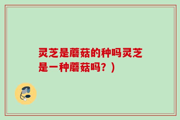 灵芝是蘑菇的种吗灵芝是一种蘑菇吗?) 灵芝是蘑菇的种吗灵芝是一种蘑菇吗?)