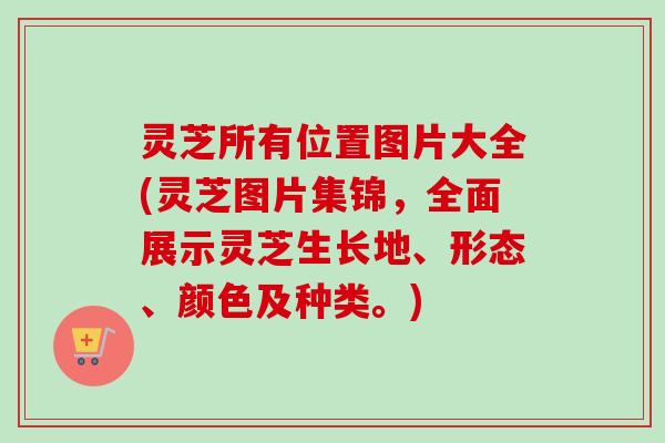 灵芝所有位置图片大全(灵芝图片集锦,全面展示灵芝生长地、形态、颜色及种类。) 灵芝所有位置图片大全(灵芝图片集锦,全面展示灵芝生长地、形态、颜色及种类。)