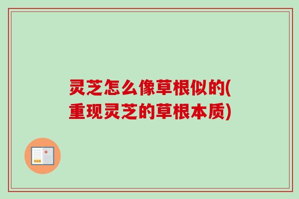 灵芝怎么像草根似的(重现灵芝的草根本质) 灵芝怎么像草根似的(重现灵芝的草根本质)
