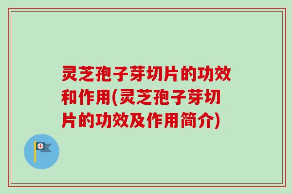 灵芝孢子芽切片的功效和作用(灵芝孢子芽切片的功效及作用简介) 灵芝孢子芽切片的功效和作用(灵芝孢子芽切片的功效及作用简介)