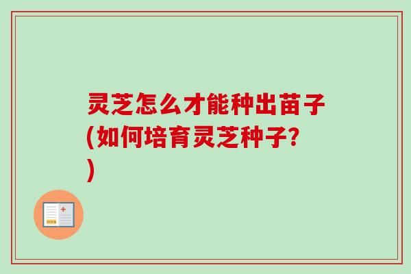 灵芝怎么才能种出苗子(如何培育灵芝种子?) 灵芝怎么才能种出苗子(如何培育灵芝种子?)