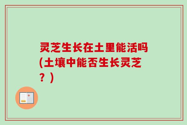 灵芝生长在土里能活吗(土壤中能否生长灵芝？)