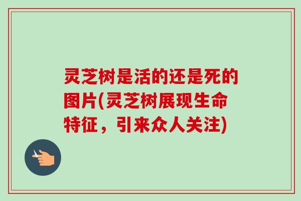 灵芝树是活的还是死的图片(灵芝树展现生命特征，引来众人关注)