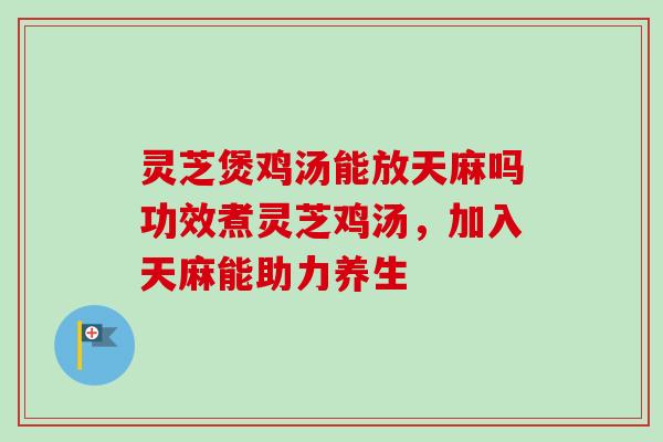 灵芝煲鸡汤能放天麻吗功效煮灵芝鸡汤,加入天麻能助力养生 灵芝煲鸡汤能放天麻吗功效煮灵芝鸡汤,加入天麻能助力养生