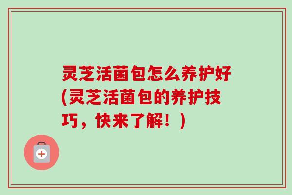 灵芝活菌包怎么养护好(灵芝活菌包的养护技巧，快来了解！)