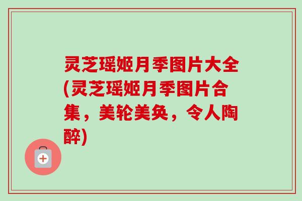 灵芝瑶姬月季图片大全(灵芝瑶姬月季图片合集,美轮美奂,令人陶醉) 灵芝瑶姬月季图片大全(灵芝瑶姬月季图片合集,美轮美奂,令人陶醉)
