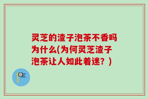 灵芝的渣子泡茶不香吗为什么(为何灵芝渣子泡茶让人如此着迷？)