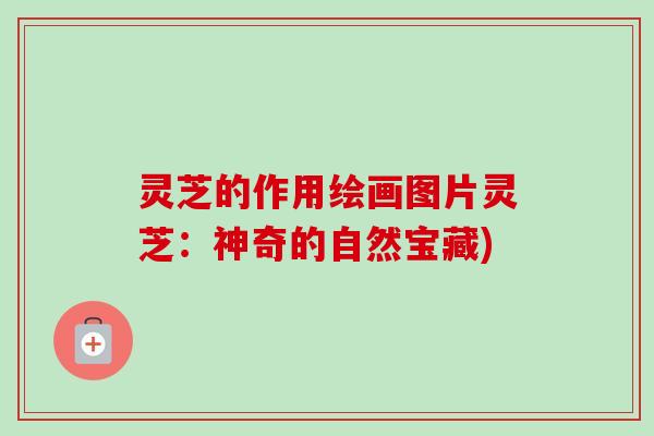 灵芝的作用绘画图片灵芝：神奇的自然宝藏)