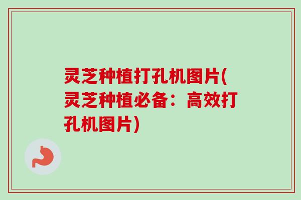 灵芝种植打孔机图片(灵芝种植必备:高效打孔机图片) 灵芝种植打孔机图片(灵芝种植必备:高效打孔机图片)