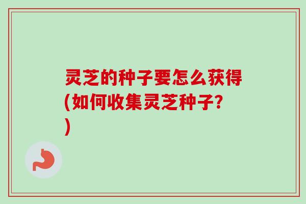 灵芝的种子要怎么获得(如何收集灵芝种子?) 灵芝的种子要怎么获得(如何收集灵芝种子?)