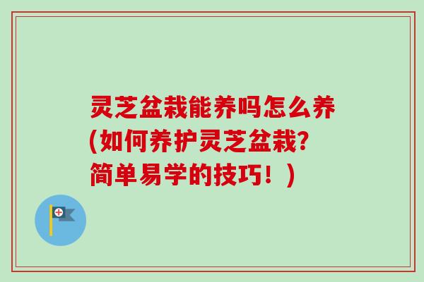 灵芝盆栽能养吗怎么养(如何养护灵芝盆栽?简单易学的技巧!) 灵芝盆栽能养吗怎么养(如何养护灵芝盆栽?简单易学的技巧!)