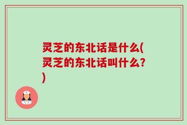 灵芝的东北话是什么(灵芝的东北话叫什么?) 灵芝的东北话是什么(灵芝的东北话叫什么?)