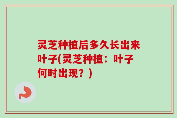 灵芝种植后多久长出来叶子(灵芝种植:叶子何时出现?) 灵芝种植后多久长出来叶子(灵芝种植:叶子何时出现?)