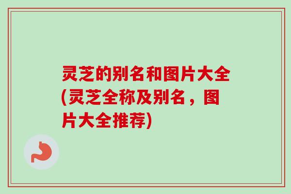 灵芝的别名和图片大全(灵芝全称及别名,图片大全推荐) 灵芝的别名和图片大全(灵芝全称及别名,图片大全推荐)