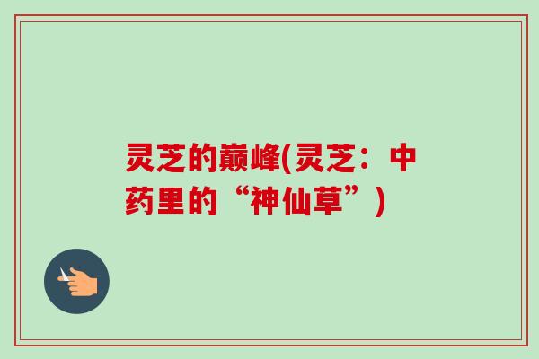 灵芝的巅峰(灵芝:里的“神仙草”) 灵芝的巅峰(灵芝:里的“神仙草”)