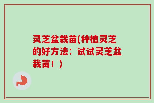 灵芝盆栽苗(种植灵芝的好方法:试试灵芝盆栽苗!) 灵芝盆栽苗(种植灵芝的好方法:试试灵芝盆栽苗!)