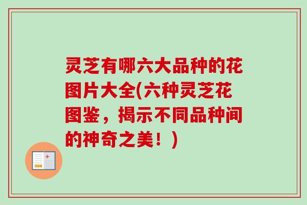 灵芝有哪六大品种的花图片大全(六种灵芝花图鉴,揭示不同品种间的神奇之美!) 灵芝有哪六大品种的花图片大全(六种灵芝花图鉴,揭示不同品种间的神奇之美!)