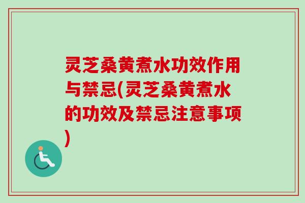 灵芝桑黄煮水功效作用与禁忌(灵芝桑黄煮水的功效及禁忌注意事项)