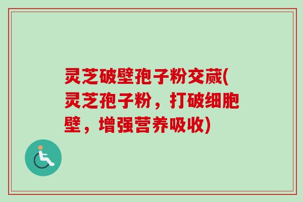 灵芝破壁孢子粉交蒇(灵芝孢子粉,打破细胞壁,增强营养吸收) 灵芝破壁孢子粉交蒇(灵芝孢子粉,打破细胞壁,增强营养吸收)