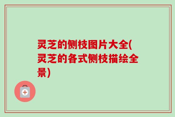 灵芝的侧枝图片大全(灵芝的各式侧枝描绘全景)