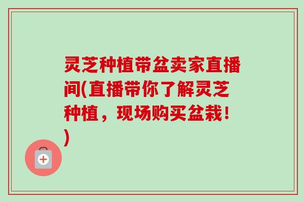 灵芝种植带盆卖家直播间(直播带你了解灵芝种植，现场购买盆栽！)