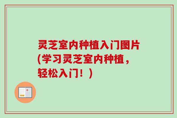 灵芝室内种植入门图片(学习灵芝室内种植，轻松入门！)