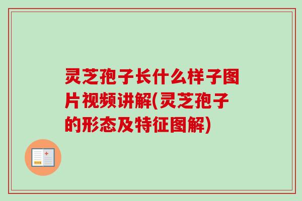 灵芝孢子长什么样子图片视频讲解(灵芝孢子的形态及特征图解)