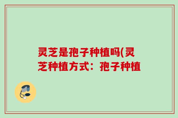灵芝是孢子种植吗(灵芝种植方式：孢子种植