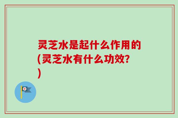 灵芝水是起什么作用的(灵芝水有什么功效？)