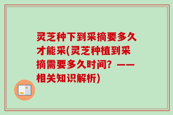 灵芝种下到采摘要多久才能采(灵芝种植到采摘需要多久时间?——相关知识解析) 灵芝种下到采摘要多久才能采(灵芝种植到采摘需要多久时间?——相关知识解析)