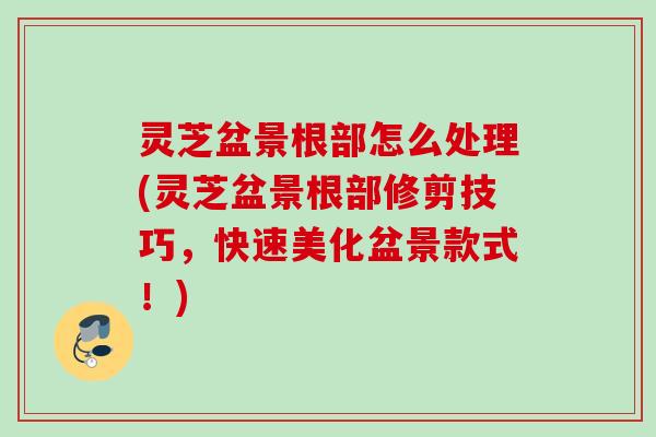 灵芝盆景根部怎么处理(灵芝盆景根部修剪技巧，快速美化盆景款式！)