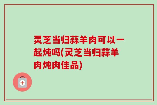 灵芝当归蒜羊肉可以一起炖吗(灵芝当归蒜羊肉炖肉佳品)