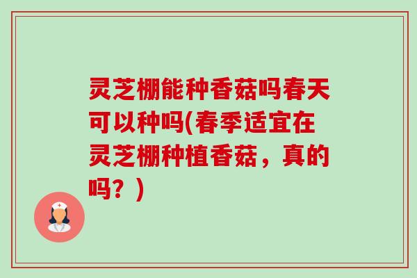 灵芝棚能种香菇吗春天可以种吗(春季适宜在灵芝棚种植香菇，真的吗？)