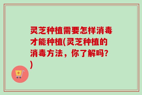 灵芝种植需要怎样消毒才能种植(灵芝种植的消毒方法,你了解吗?) 灵芝种植需要怎样消毒才能种植(灵芝种植的消毒方法,你了解吗?)