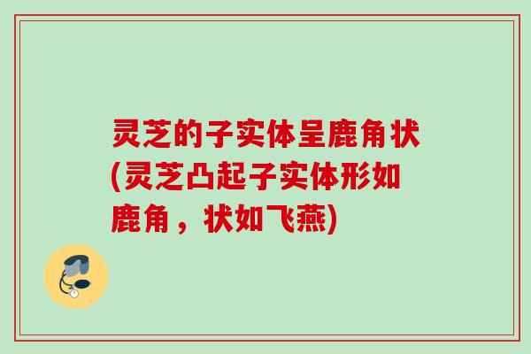 灵芝的子实体呈鹿角状(灵芝凸起子实体形如鹿角,状如飞燕) 灵芝的子实体呈鹿角状(灵芝凸起子实体形如鹿角,状如飞燕)